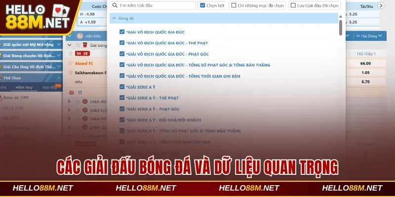 Các Giải Đấu Bóng Đá Hấp Dẫn Cập Nhật Nhanh Tại Hello88