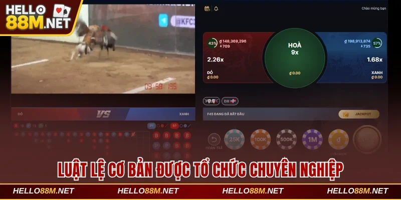 Luật lệ cơ bản được tổ chức chuyên nghiệp tại Hello88