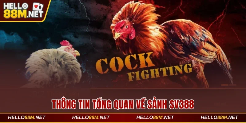 Thông tin tổng quan về sảnh SV388 tại Hello88