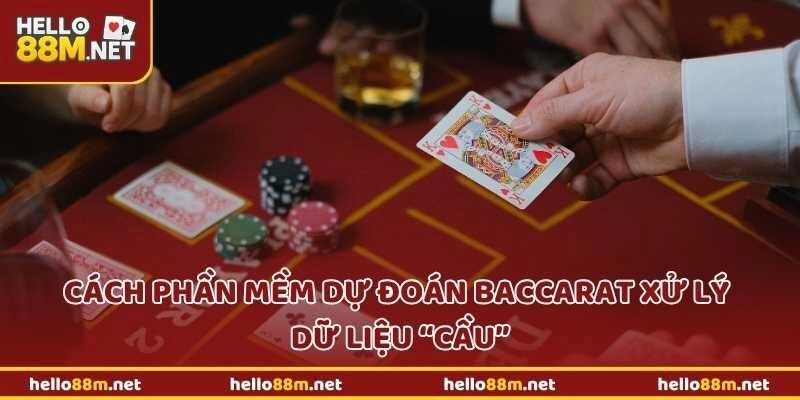Cách phần mềm dự đoán baccarat xử lý dữ liệu “cầu” tại Hello88
