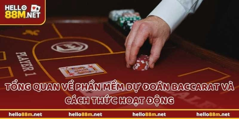 Tổng quan về phần mềm dự đoán baccarat và cách thức hoạt động tại Hello88